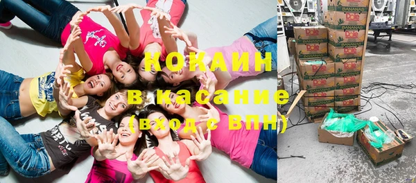хмурый Алзамай