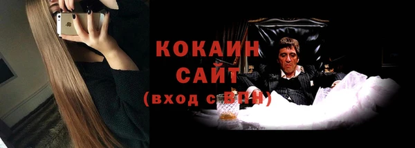 хмурый Алзамай
