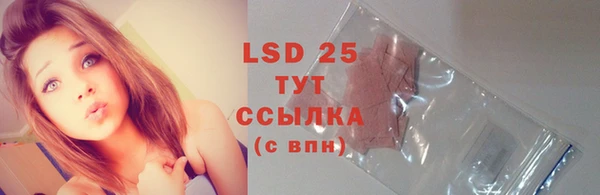 хмурый Алзамай