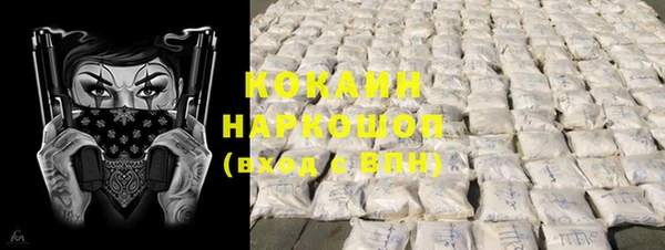 хмурый Алзамай