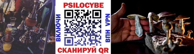 где купить наркоту  Артём  Галлюциногенные грибы мухоморы 